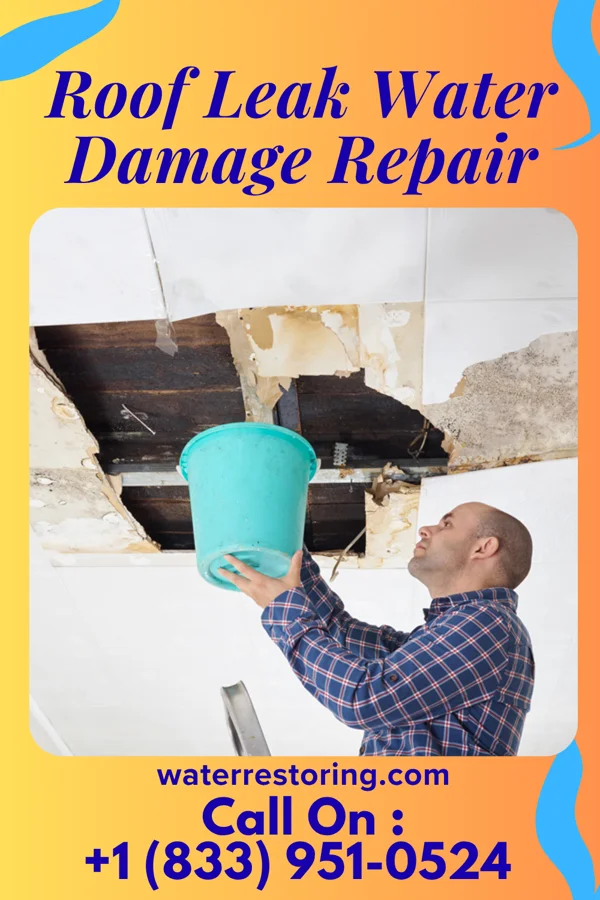 Roof Leak Water Damage Repair in Polkville, MS