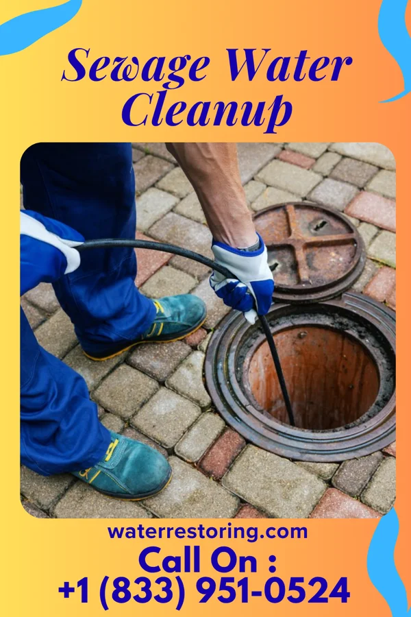 Sewage Water Cleanup in Polkville, MS